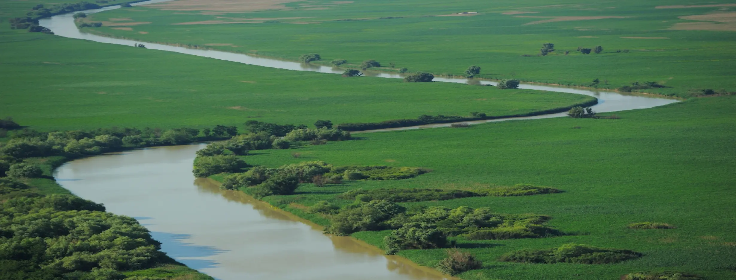 Image for Danube Delta